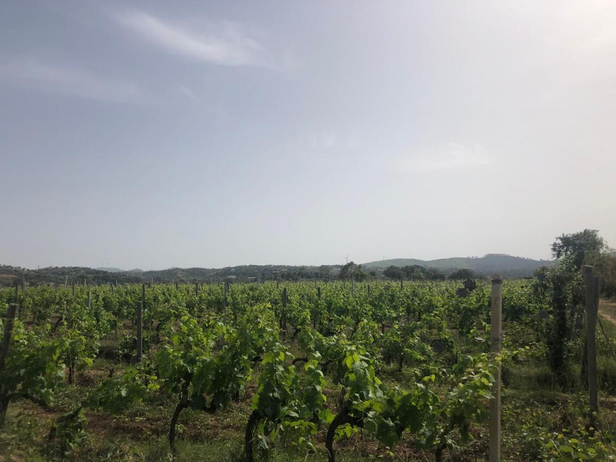 Agriturismo Donna Germana Ciro Marina Luaran gambar